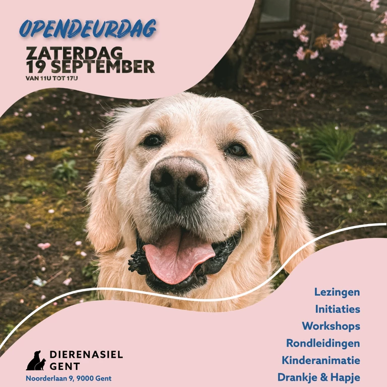 Opendeurdag 2026