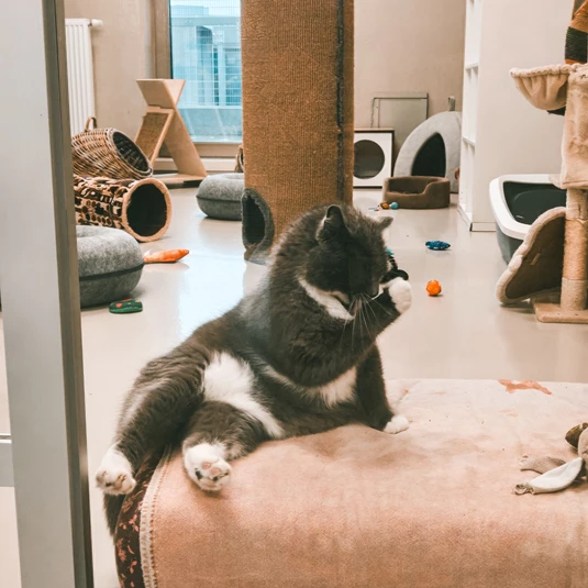 IMG 20260310 113739 1