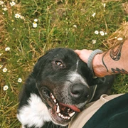 Teo