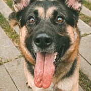 Pablo