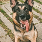 Pablo