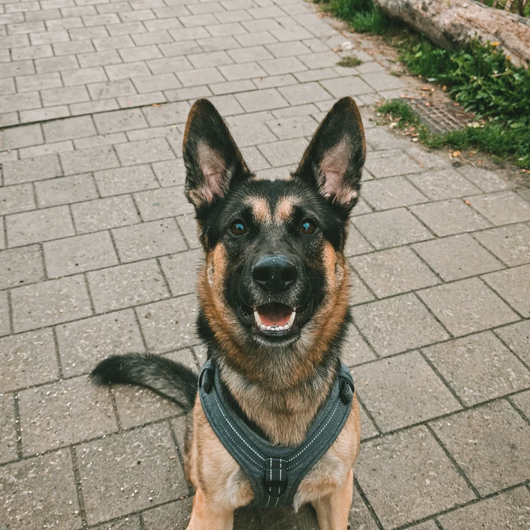 Pablo